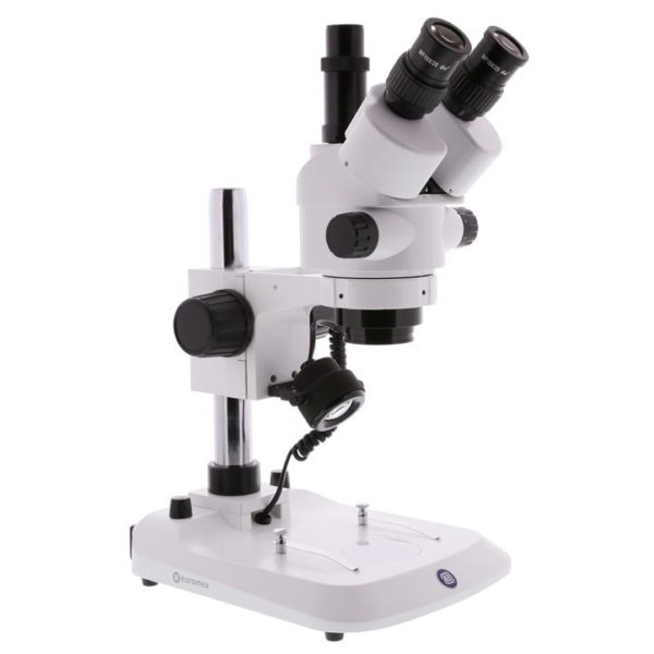 ESTEREOSCOPIO TRINOCULAR SB-1903P - EUROMEX